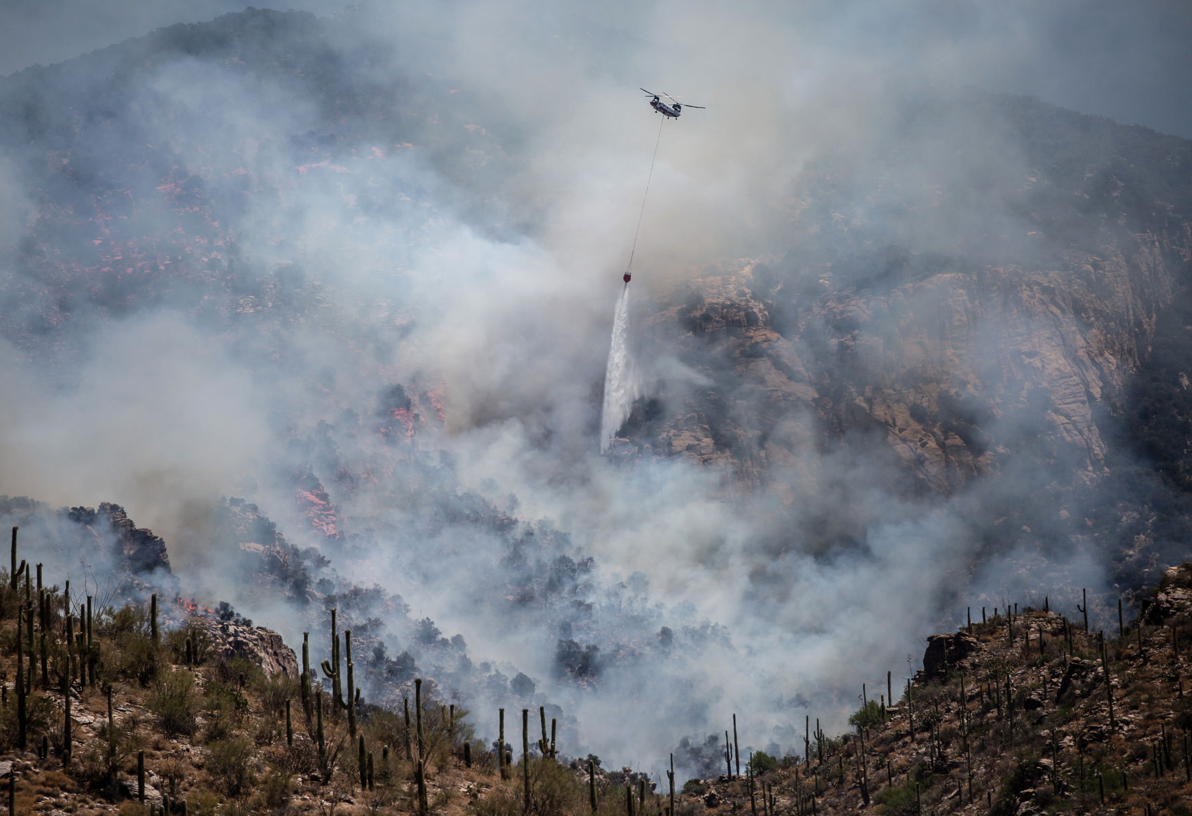 Bighorn Fire - Arizona